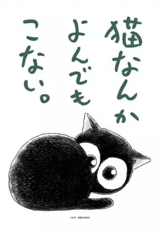 Cats Don't Come When Called