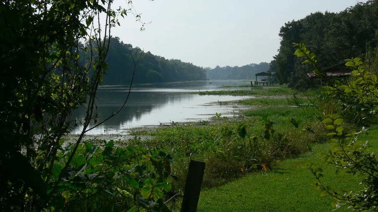 Rivers and Life