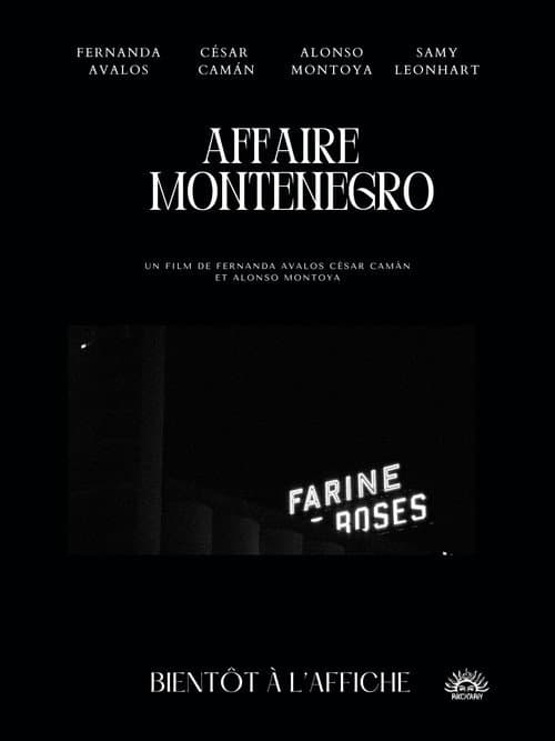 The Montenegro Affair