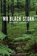 Mr Black Stork