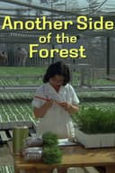 Another Side of the Forest