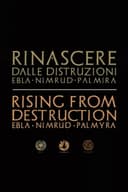 Palmyra: Rising from the Ashes