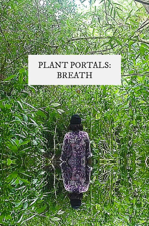 plant portals: breath
