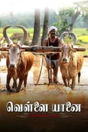 Vellai Yaanai
