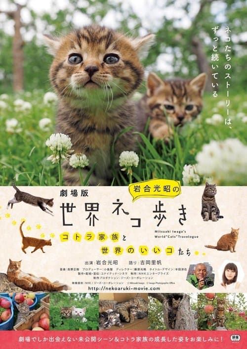 Mitsuaki Iwago's World βCatsβ Travelogue