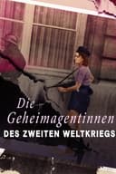 Female Spies: Courage and Espionage in WWII