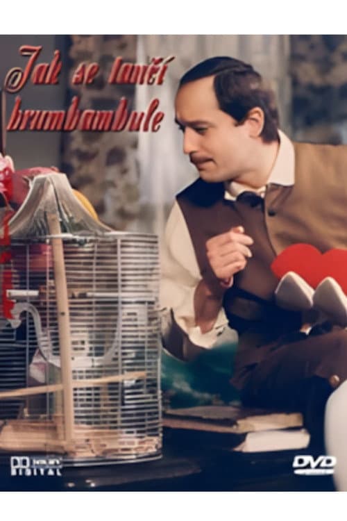 Jak se tanΔΓ brumbambule