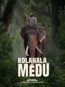 Kolahalamedu