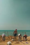 The Last Camp