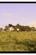 Shootout of an Underground Railroad