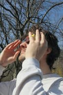 Eclipse - the movie