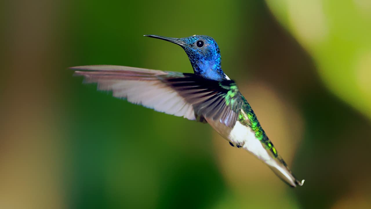 Secrets of Our Living Planet