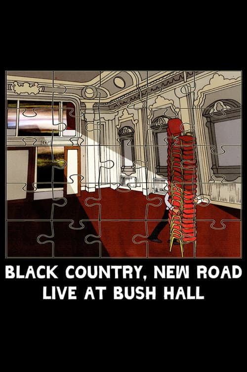 Black Country, New Road - βLive at Bush Hallβ