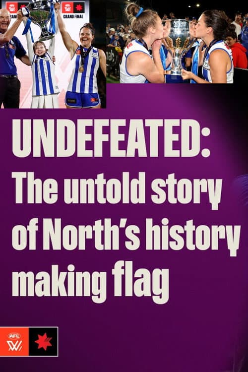 UNDEFEATED: The untold story of Northβs history-making flag