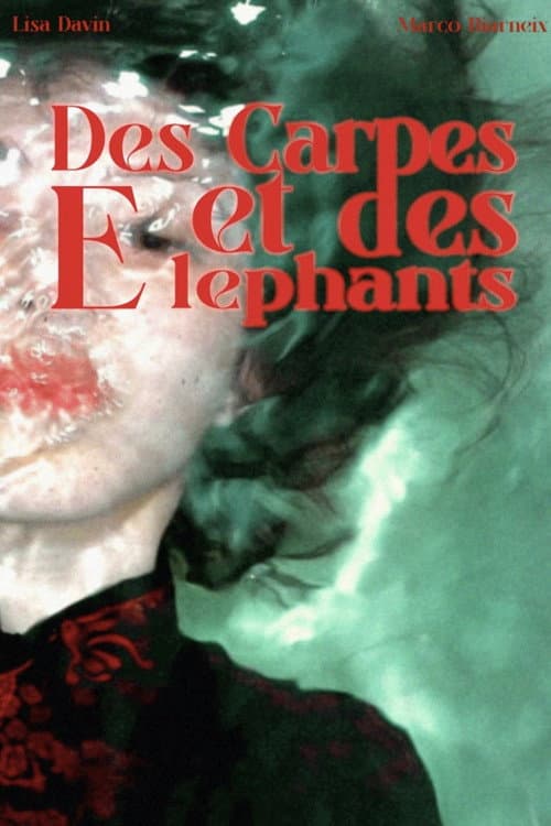 Des Carpes et des ΓlΓ©phants